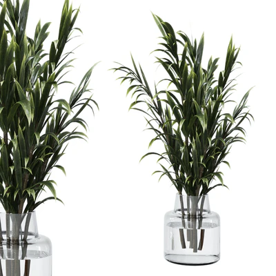 Collection Green Plants Bouquet Indoor 12 — Ver 3