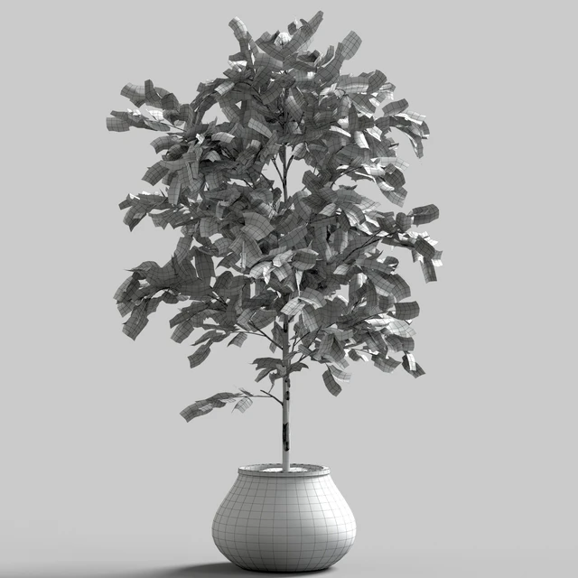 Branches in vases 28 — Descargar