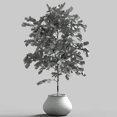 Branches in vases 28 — Ver 2