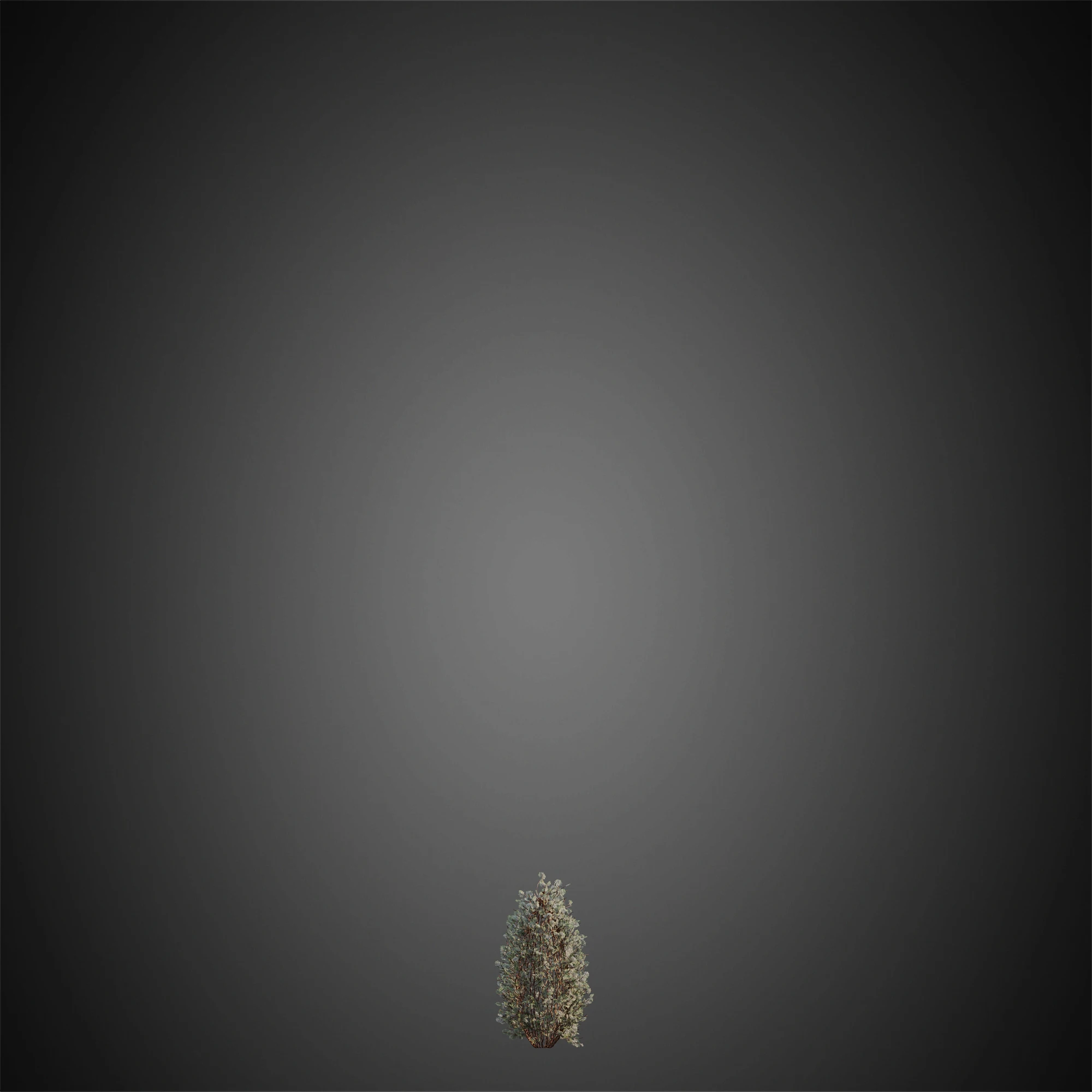 031 — Descargar