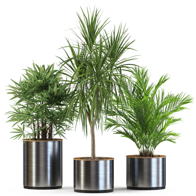 Plants collection 550 — Скачать