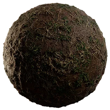 scarce grass on damp soil 004 — Descargar