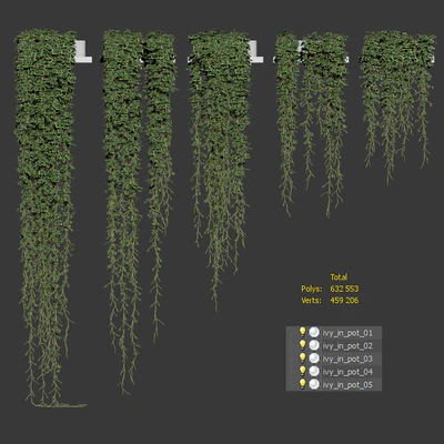Ivy in pots on the shelves. 5 models — Ver 2