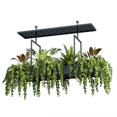 Indoor plant set 05-Hanging plants — Ver 1