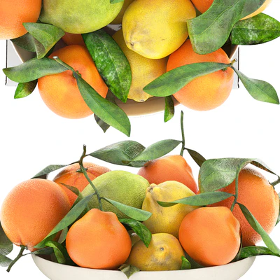 bowl of lemon mandarin and orange — Ver 2