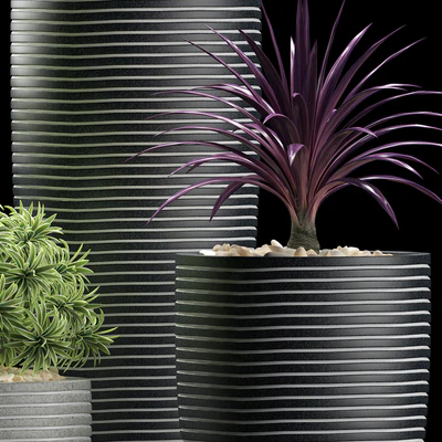 PLANTS 106 — Ver 2