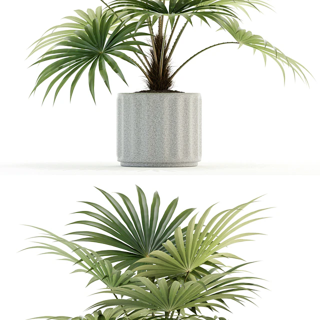 Plants collection 94 — Скачать