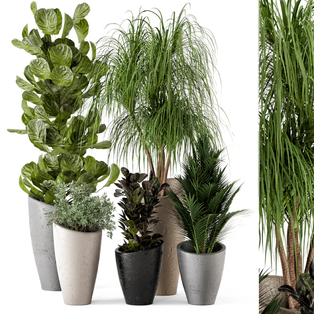 Indoor Plants in rusty Concrete Pot - Set 240 — Descargar