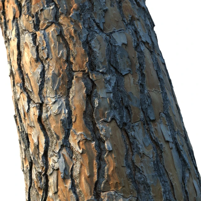4k Pine Bark Material 03 — Descargar
