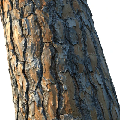 4k Pine Bark Material 03 — Ver 2