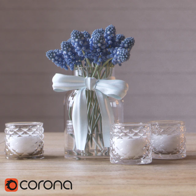 Muscari Hyacinthaceae Candle — Descargar