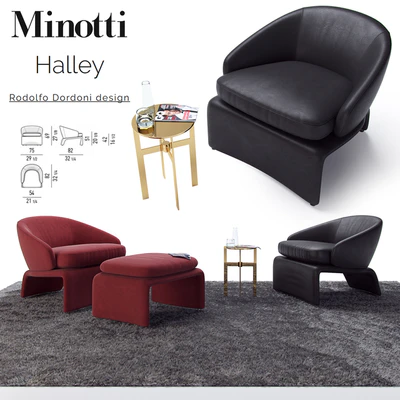 Halley Armchair / Minotti Halley — Descargar