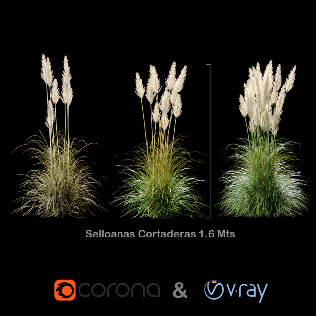 Selloanas Cortaderas Small — Descargar