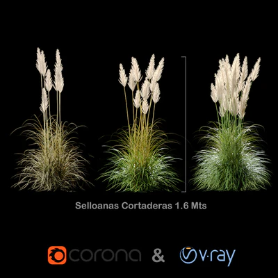 Selloanas Cortaderas Small — Descargar