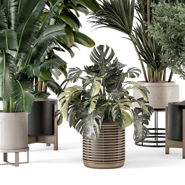Indoor Plants in Ferm Living Bau Pot Large - Set 1328 — Descargar