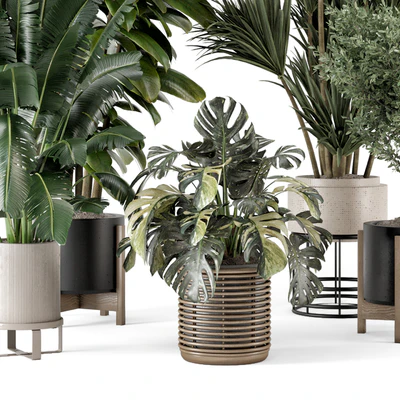 Indoor Plants in Ferm Living Bau Pot Large - Set 1328 — Ver 3