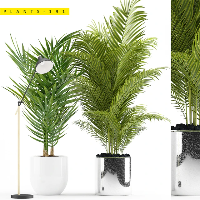PLANTS 191 — Descargar