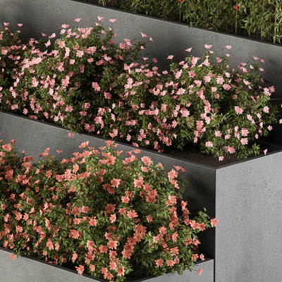 Flower Box - Outdoor Plants 436 — Вид 2