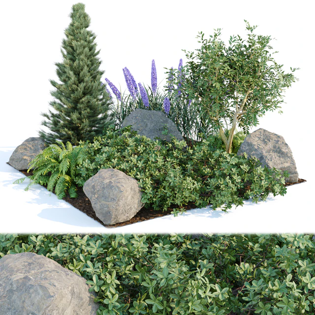 outdoor garden plants collection vol 69 — Скачать