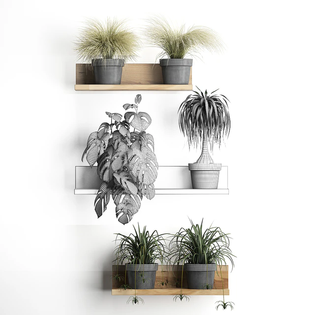 Vertical gardening. 48 Shelf with flowers, monstera, dracaena, Chlorophytum, indoor plants, eco design — Descargar