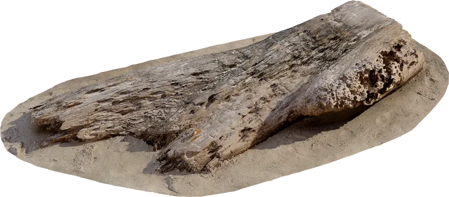 thai beach log 002 — Скачать