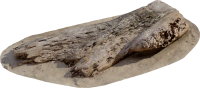 thai beach log 002 — Скачать