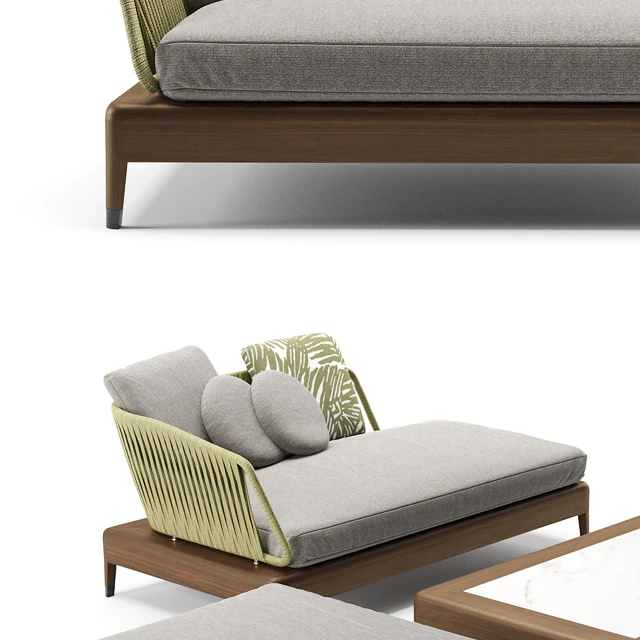 Minotti indiana — Скачать
