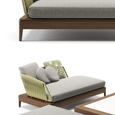 Minotti indiana — Вид 2