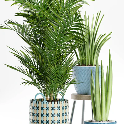 PLANTS 166 — Вид 2