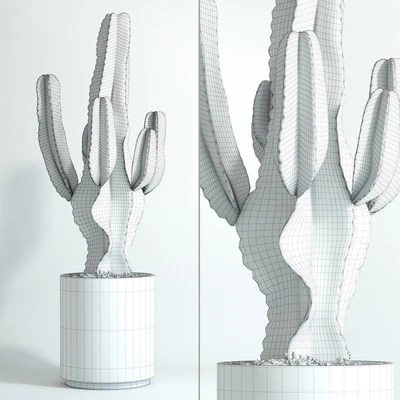 kaktus — Ver 2