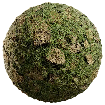 grass 022 — Скачать
