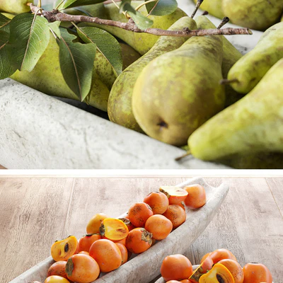 Fruit — Ver 2