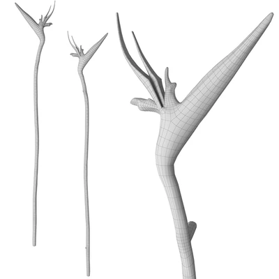 Дверные ручки Strelitzia EA1061 — Вид 4