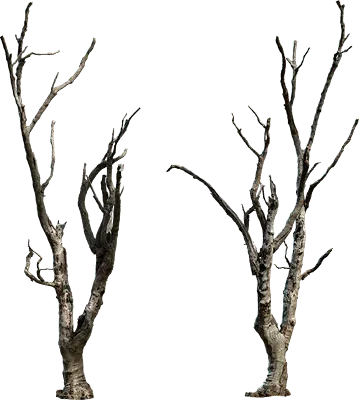dead tree 001 — Descargar