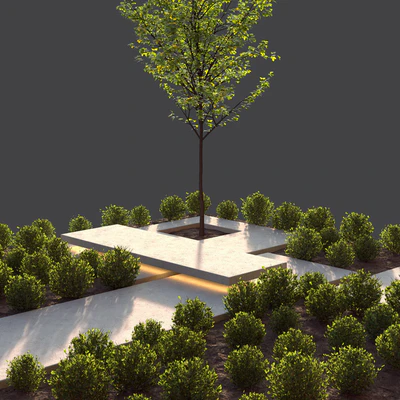 landscape design — Вид 2