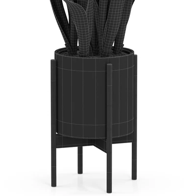 Plants collection 505 — Вид 2
