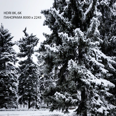 HDRI 13. Winter Park. — Ver 3
