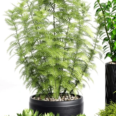Plants and Planters   5 — Ver 2