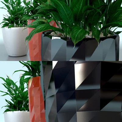 Spathiphyllum Wallis / Spathiphyllum wallisii in pots Lechuza — Ver 2