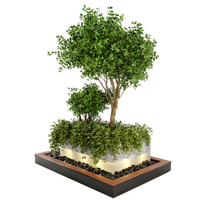 Outdoor Plants bush & Tree Combination of wood & concrete Pot - Garden Set 44 — Download