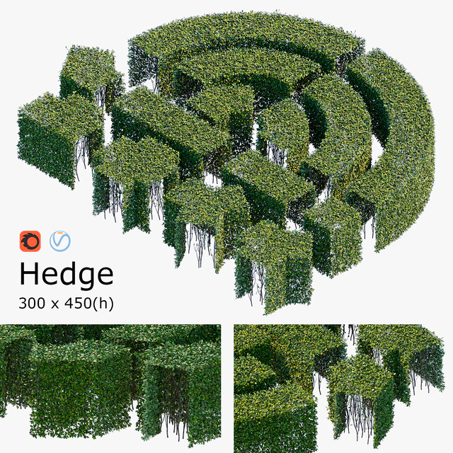 Hedge 3x4.5 — Download