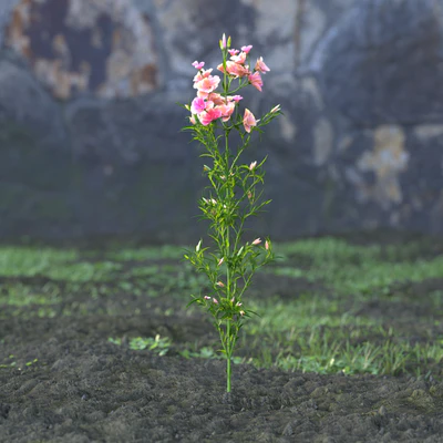 garden flowers 049 — Descargar