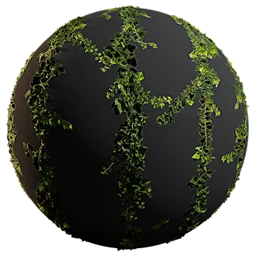 ivy 013 — Скачать