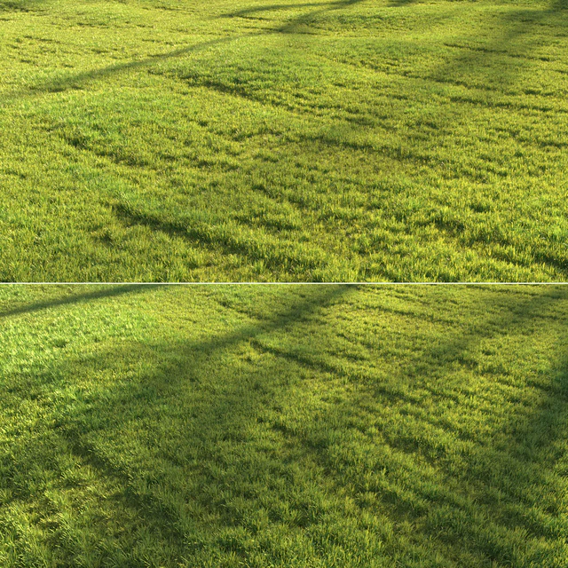 Sunny lawn — Descargar