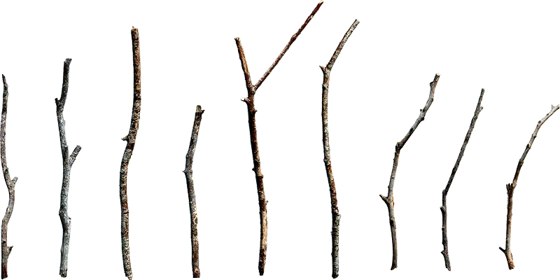 dry branches 001 — Descargar