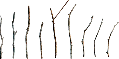 dry branches 001 — Descargar