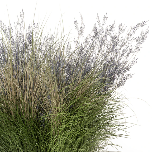 Outdoor Plants Bush-Bush Set 660 — Descargar