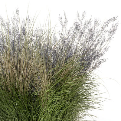 Outdoor Plants Bush-Bush Set 660 — Ver 2