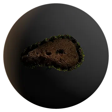 soil patch in grass 001 — Descargar