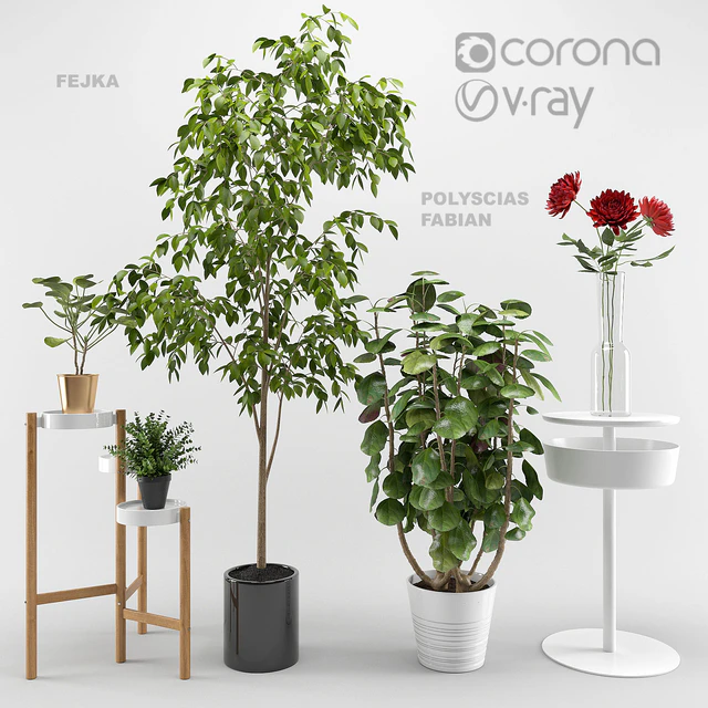 Ikea plants set — Скачать
